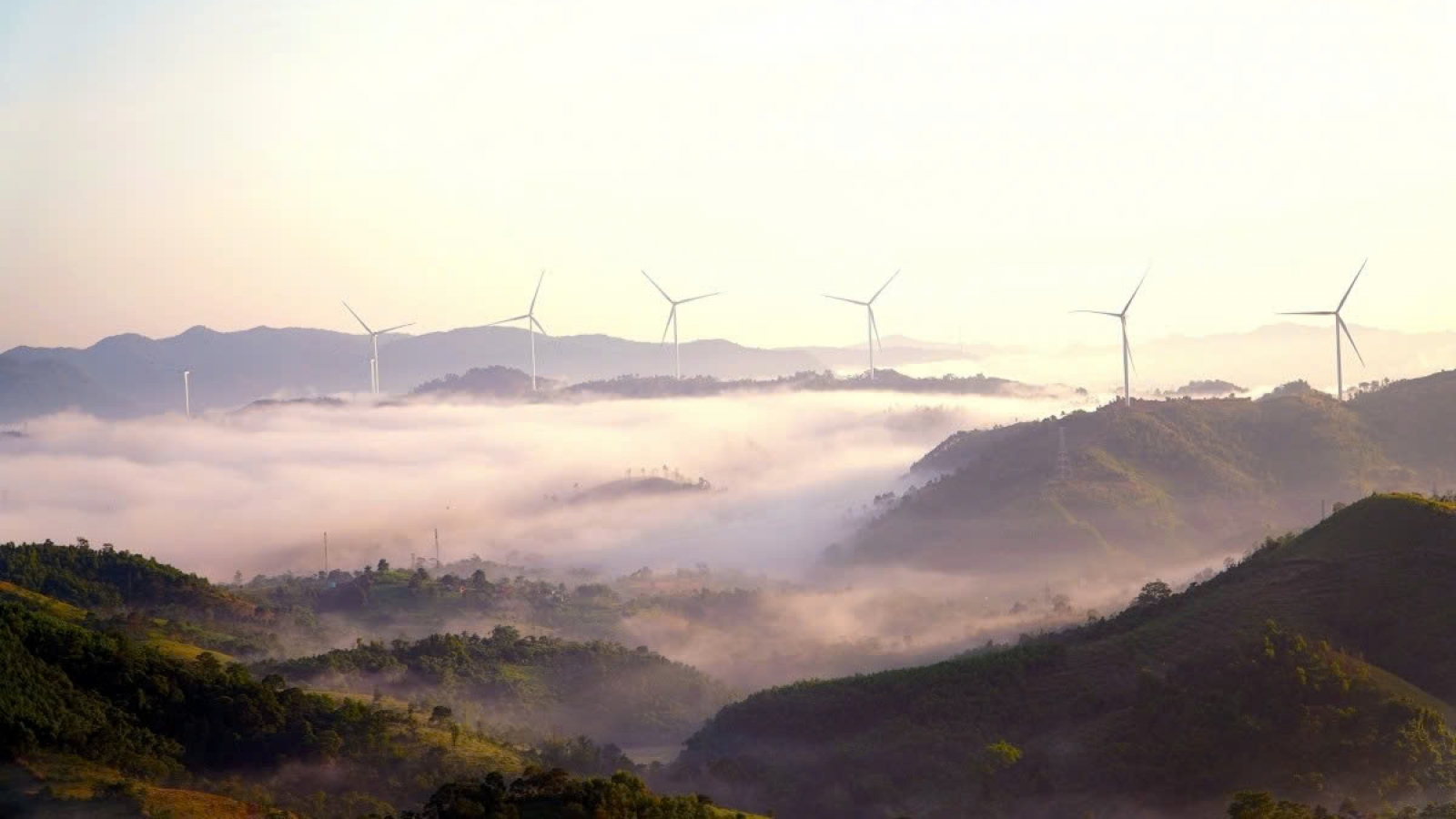 Cloud hunting amid wind turbines in western Quang Tri province