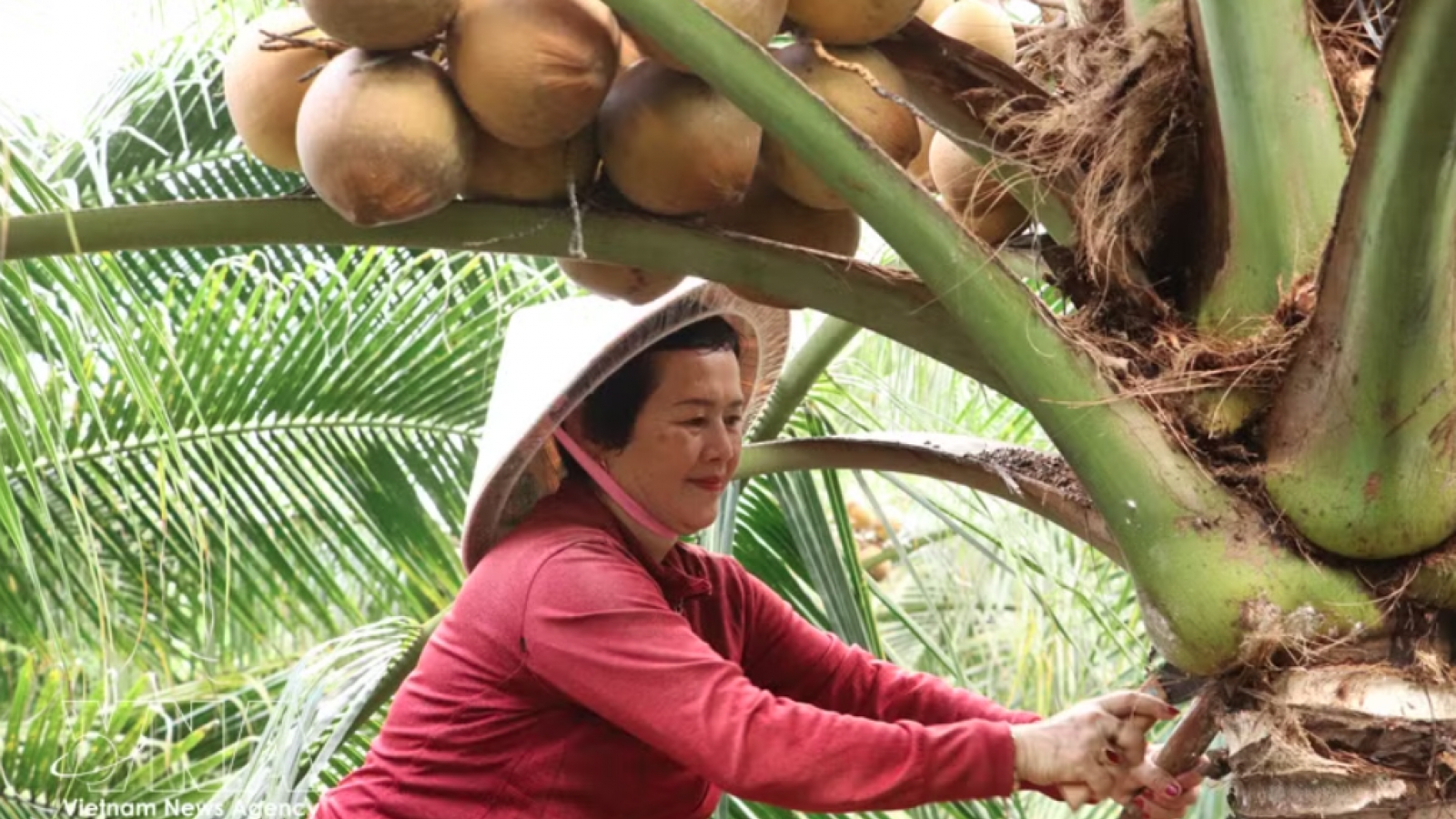 Vietnam eyes APEC 2027 to push green farming, food security agenda