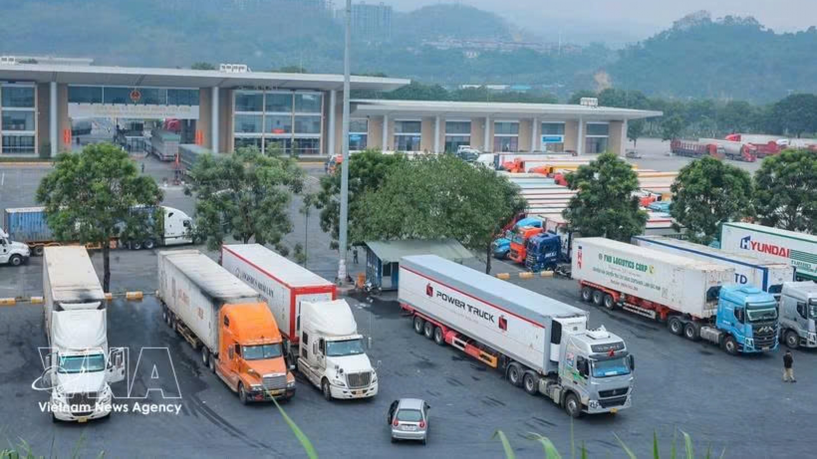 Cross-border e-commerce opens new export path for Vietnam