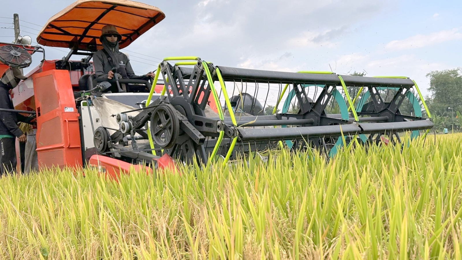 Nâng cao chuỗi giá trị nông sản của Cần Thơ trên thị trường quốc tế