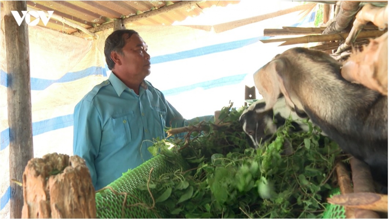 Từ “cho phép” sang “khuyến khích”: Bước đột phá để đảng viên làm kinh tế