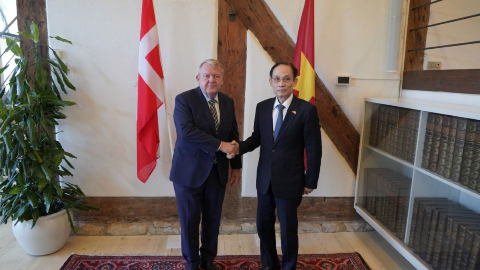 Vietnamese, Danish FMs discuss ways to deepen bilateral ties