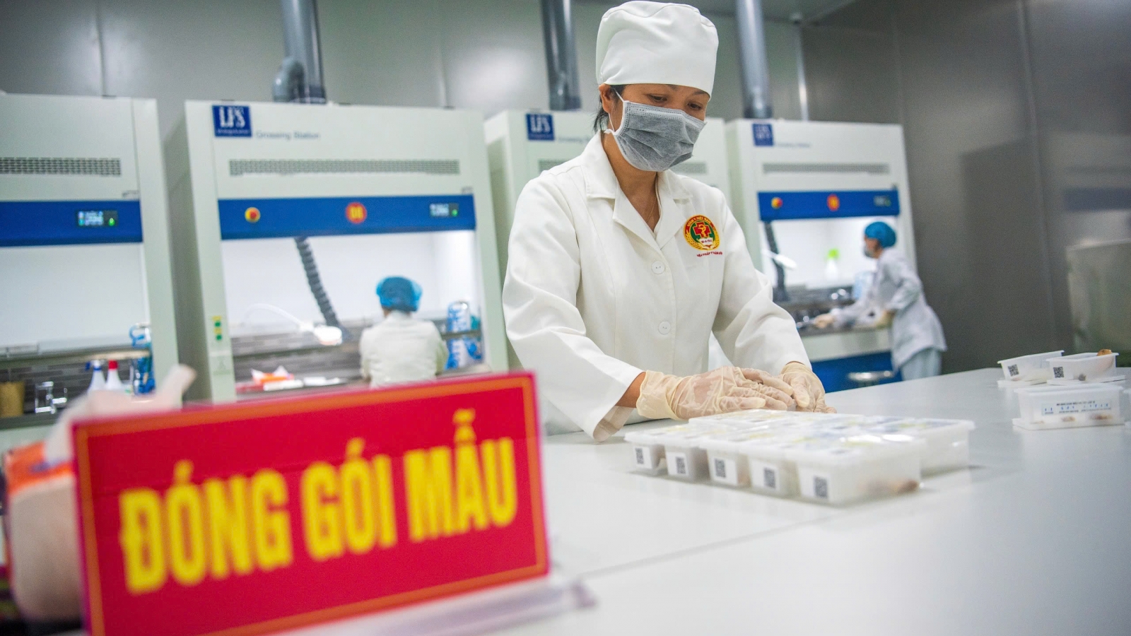 Gian nan tìm tên liệt sĩ từ những mẫu hài cốt lâu năm