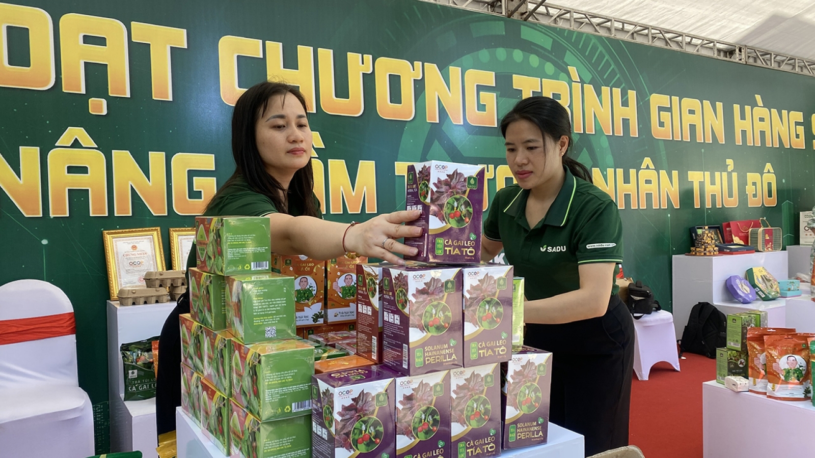 Tăng trưởng 10%: Việt Nam phải dựa vào năng suất