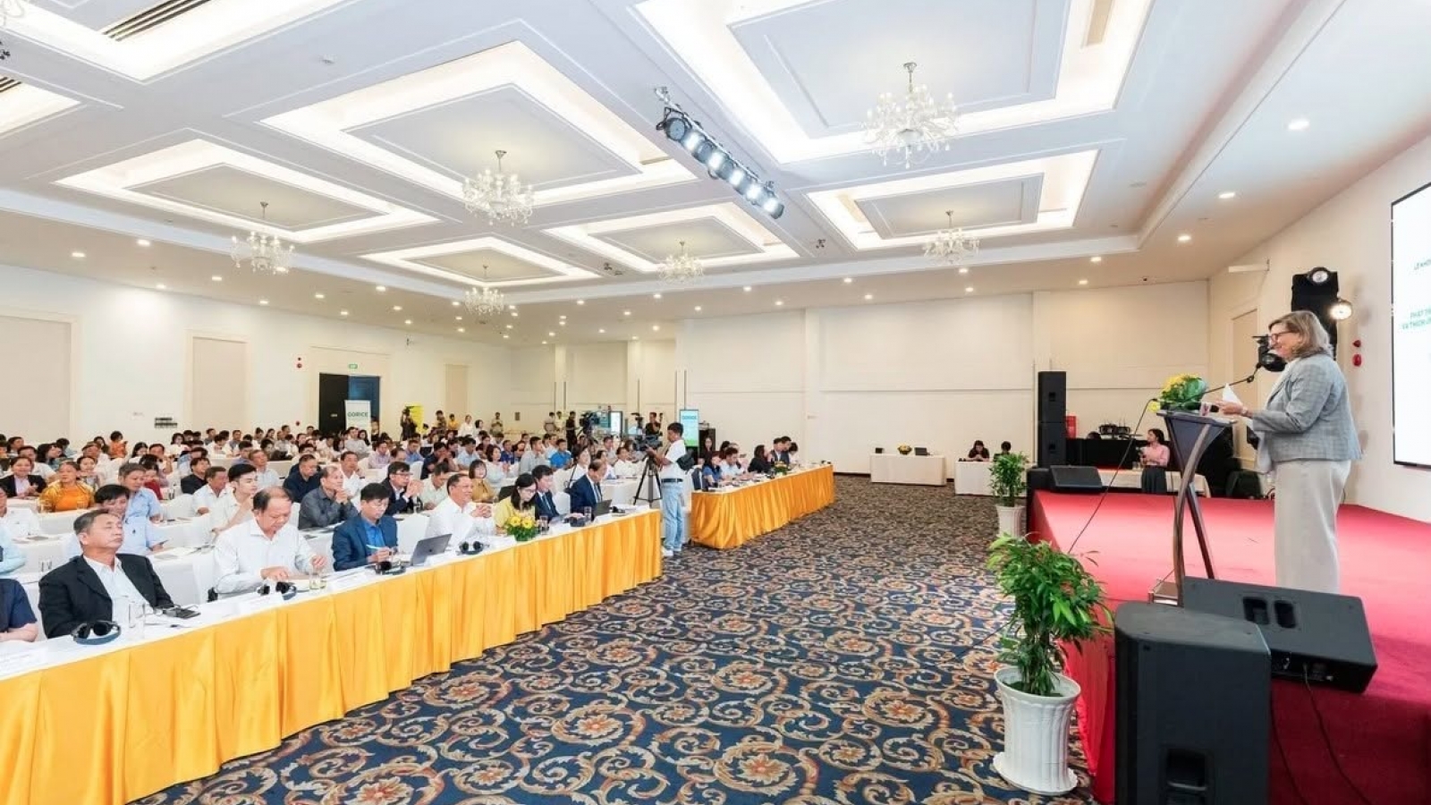 GoRice launched to advance sustainable, low-emission rice production
