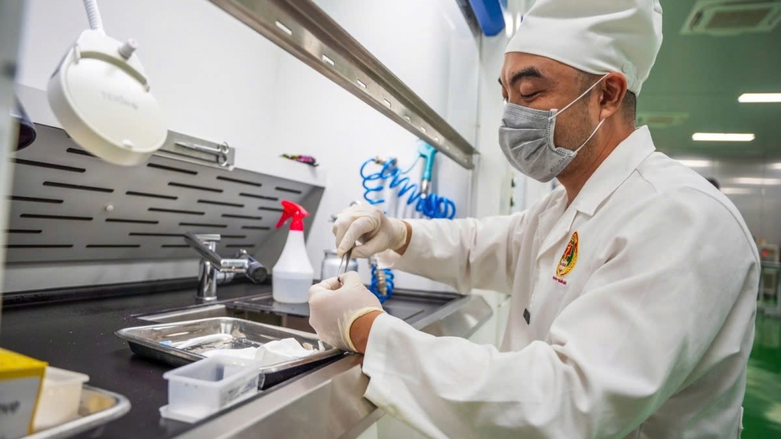 Identifying fallen soldiers - The search for names in fragmented DNA