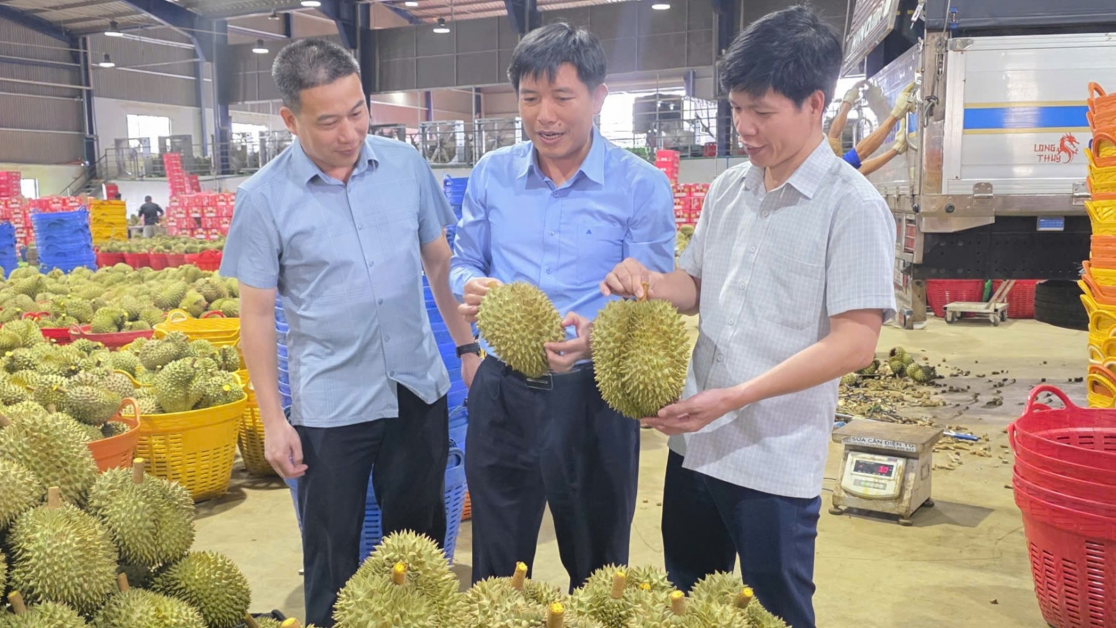 Bàn cách duy trì mã số vùng trồng, mở rộng thị trường xuất khẩu tại Lâm Đồng