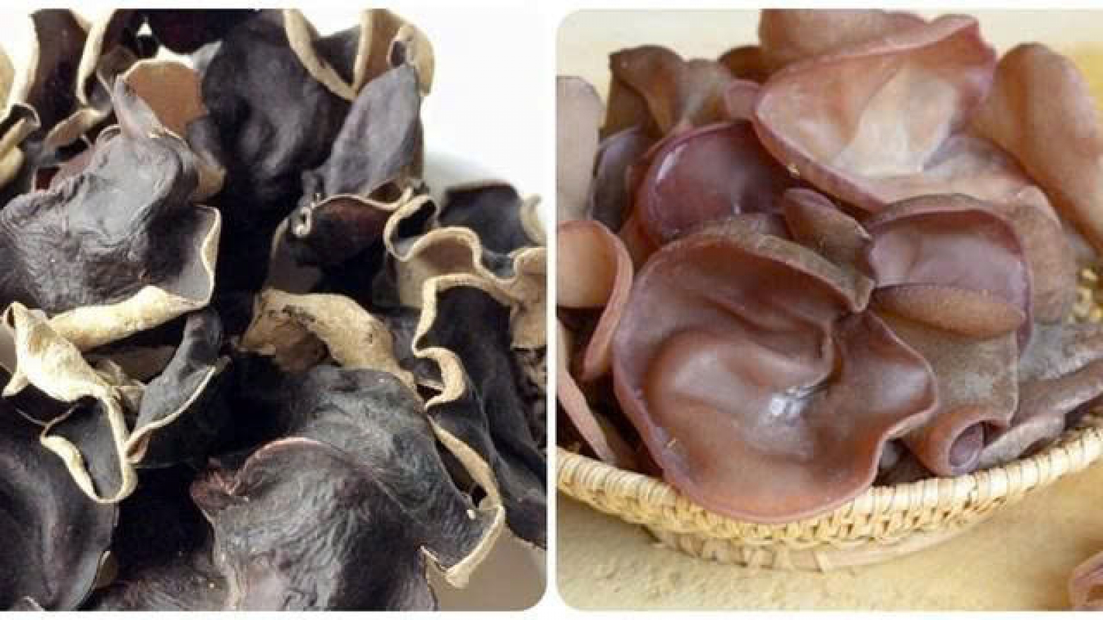 Mộc nhĩ tốt cho sức khỏe đến đâu? Những điều cần biết trước khi ăn