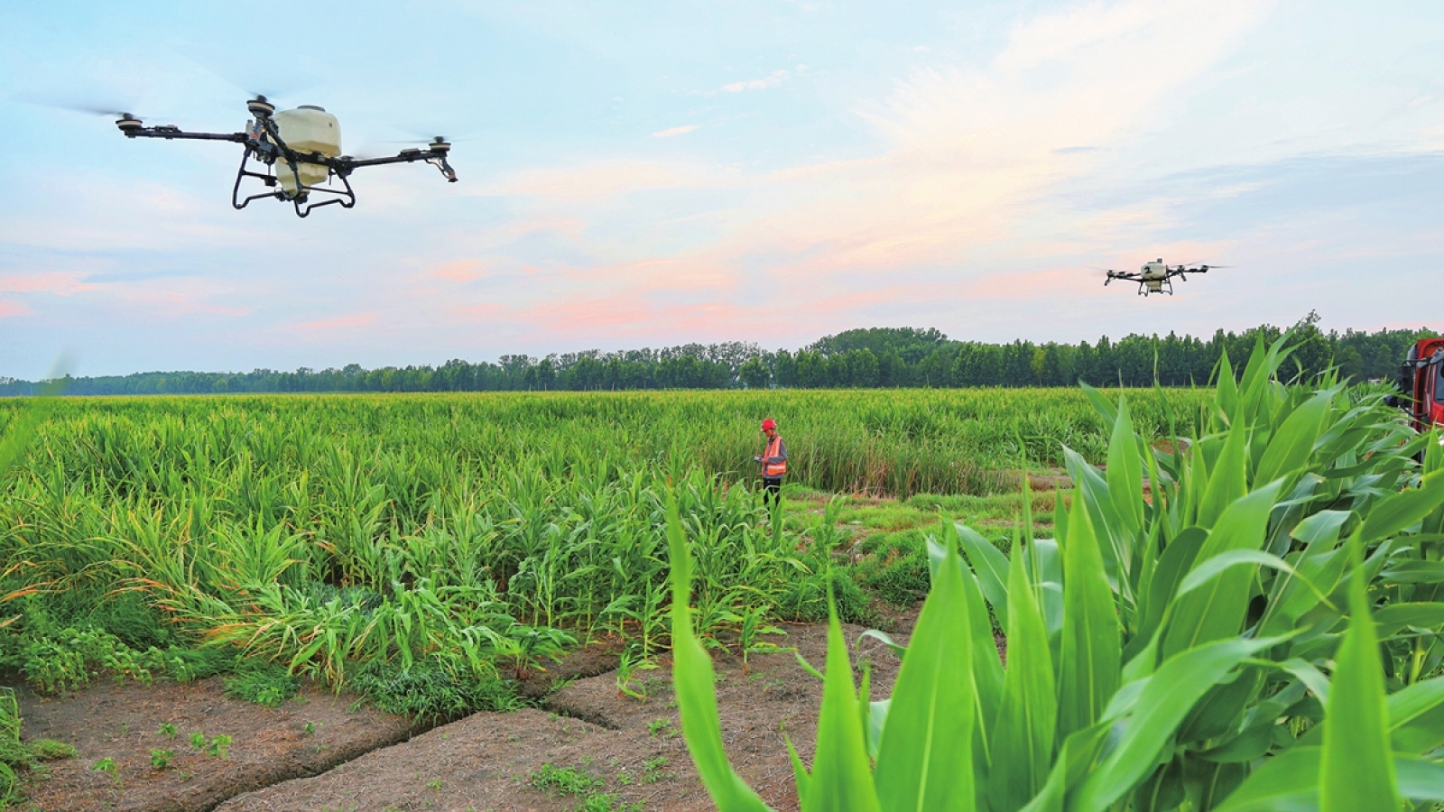 Trung Quốc sở hữu hơn 300.000 drone nông nghiệp, dẫn đầu thế giới