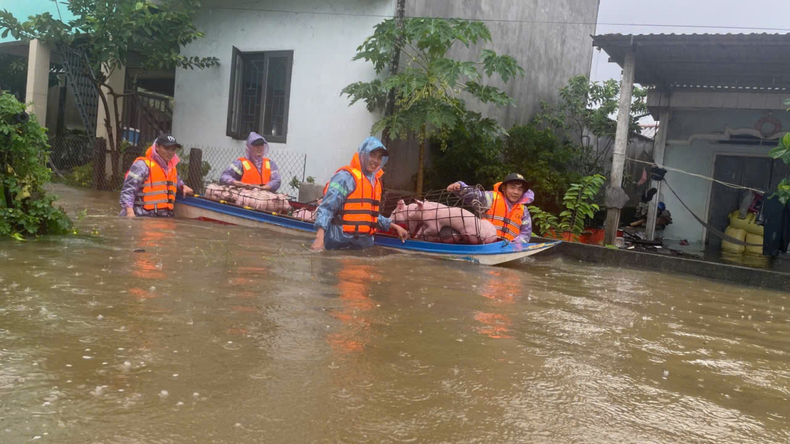 Quảng Ngãi nhiều nơi mưa hơn 500 mm, có nơi ngập sâu hơn 1 mét