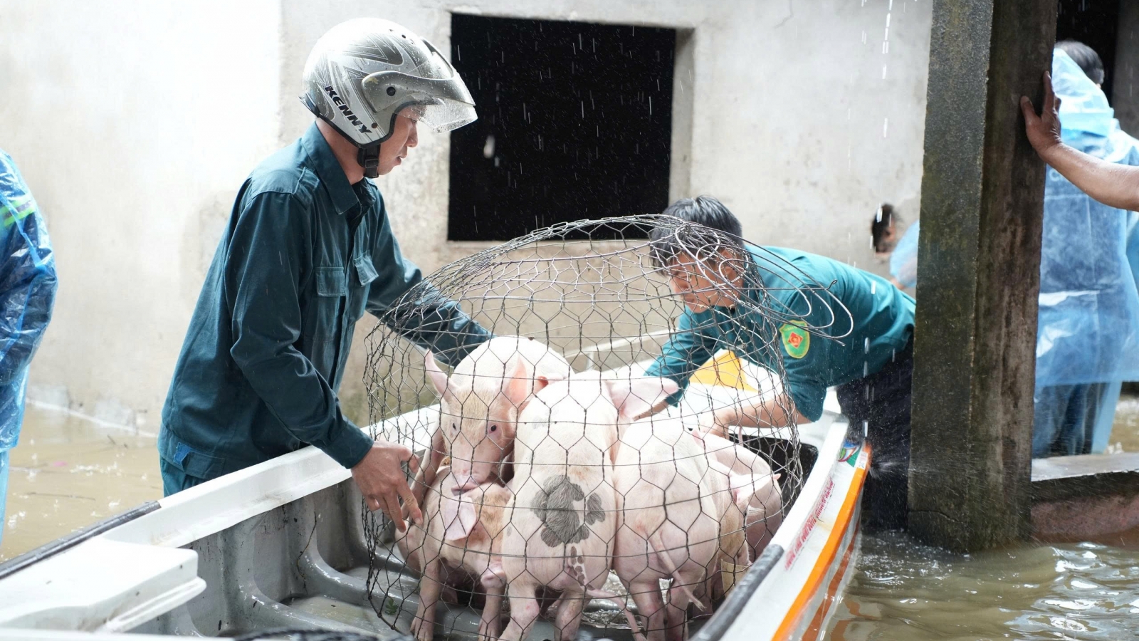 Mưa lớn gây ngập cục bộ tại nhiều khu dân cư ở Quảng Ngãi