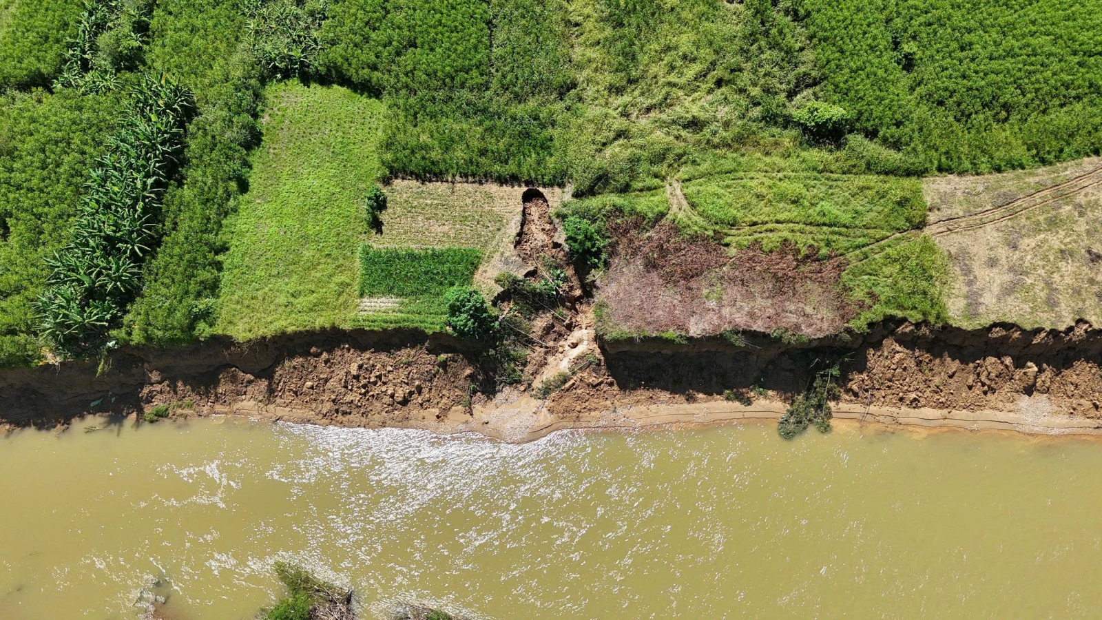 Sạt lở sông Trà Khúc uy hiếp đất sản xuất và tỉnh lộ 623B