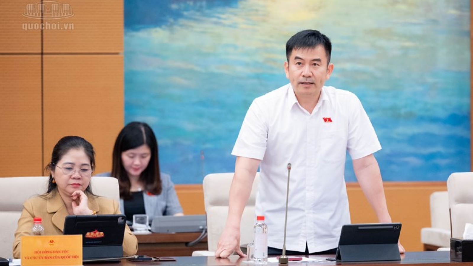 ĐBQH: Nhà ở cho thuê giá phải chăng thì người dân không nhất thiết mua nhà