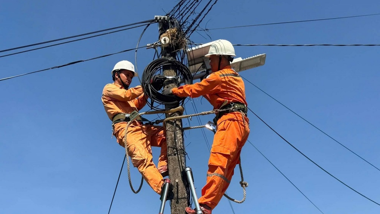 Chi 200 tỷ đồng xóa “mạng nhện” lưới điện và chủ động kịch bản ứng phó thiên tai