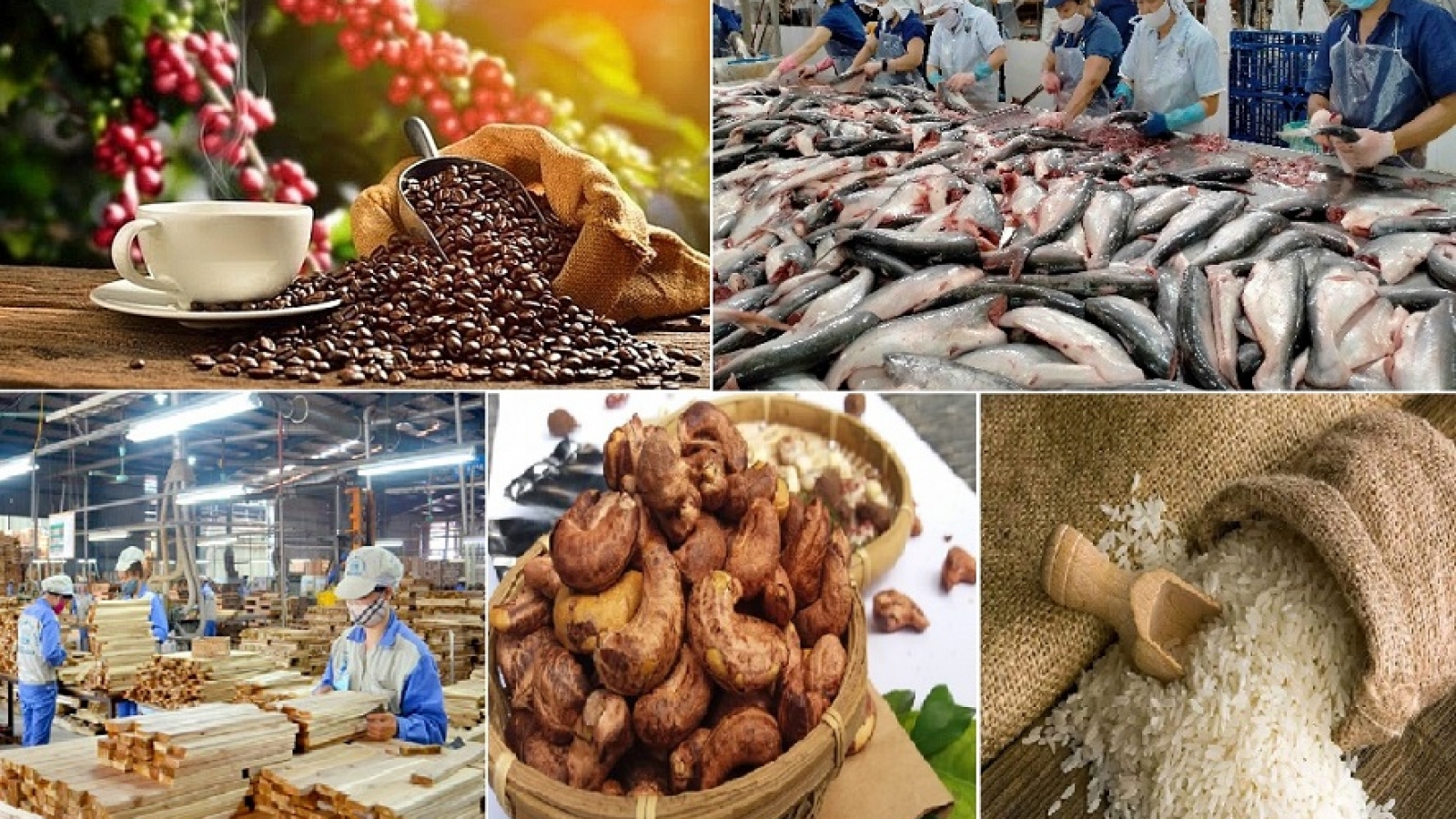 Xuất khẩu nông lâm thủy sản đạt 56,3 tỷ USD sau 9 tháng