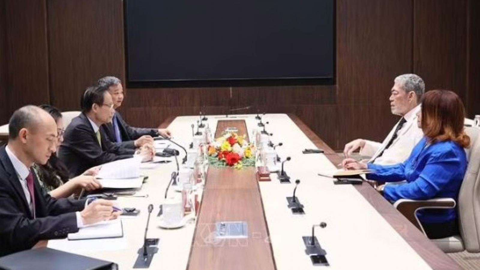 Vietnam, Dominican Republic boost implementation of party cooperation agreement