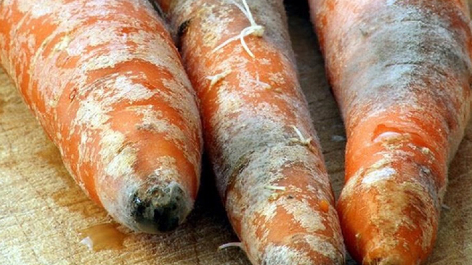 Thực phẩm bị nấm mốc: Cắt phần hỏng rồi ăn tiếp có an toàn?