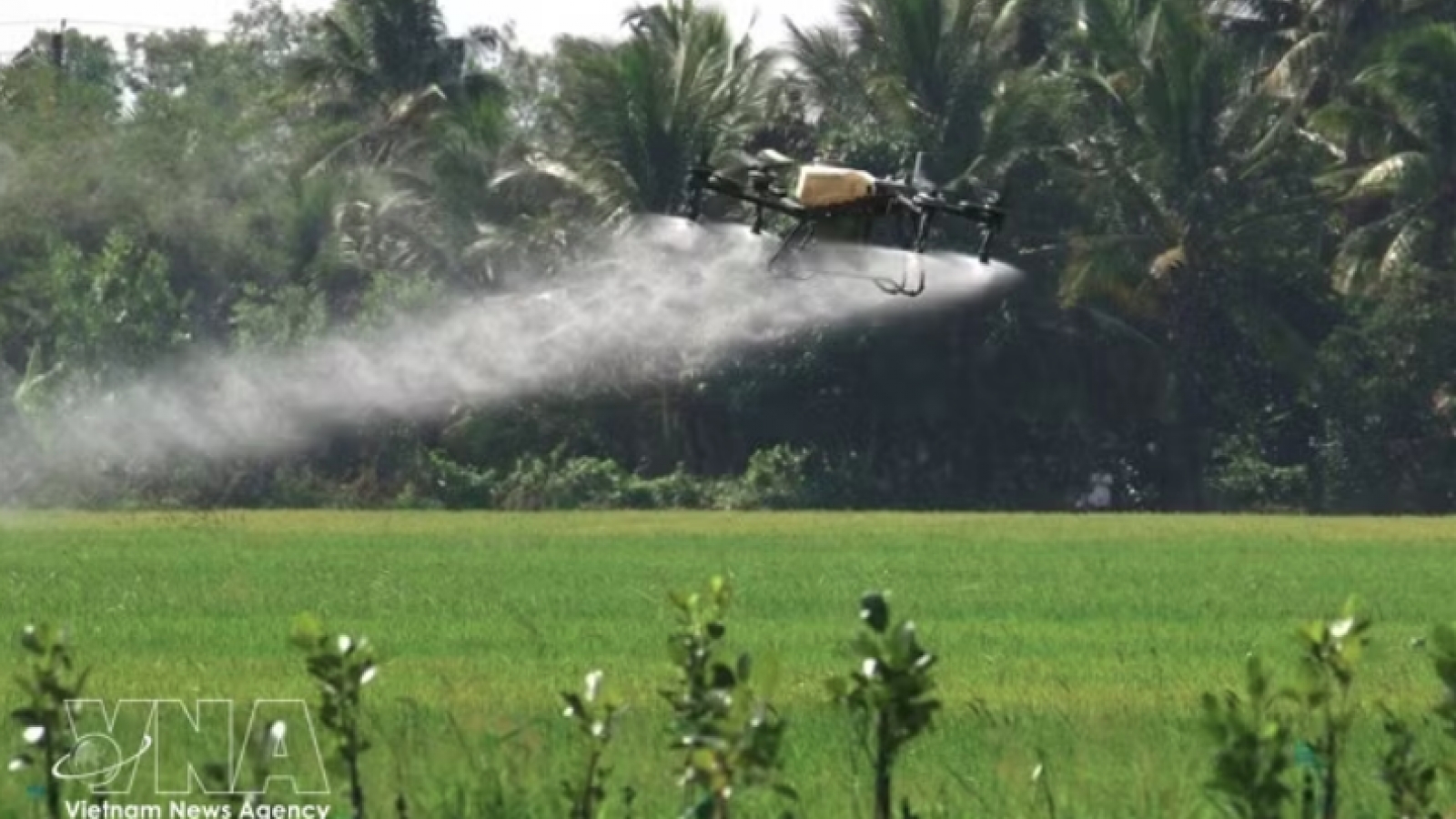 Low-altitude economy could grow to US$500 million by 2035