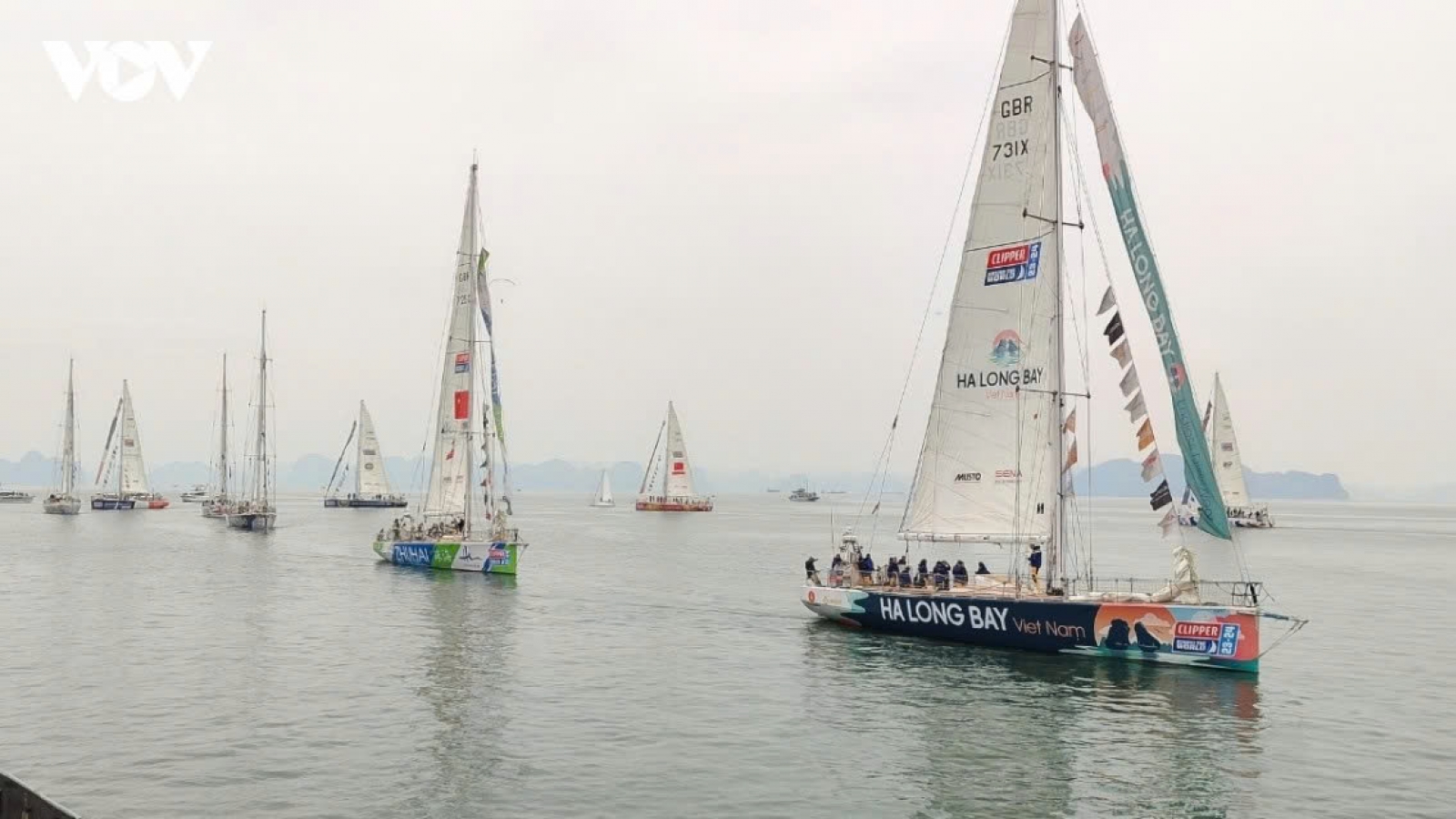 Ha Long to host inaugural international sailing festival in December