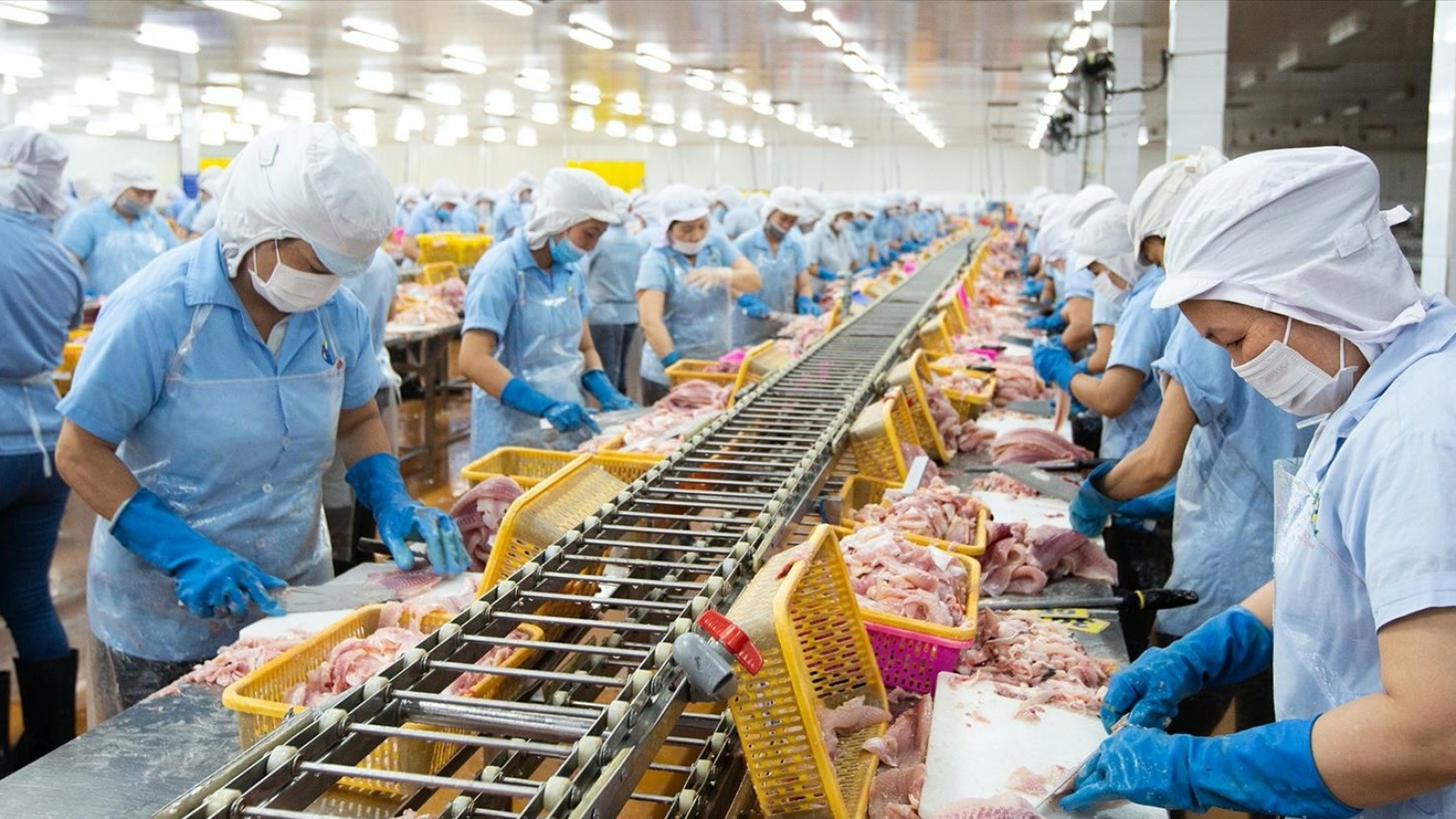 Seafood industry eyes new export and processing opportunities under EFTA deal