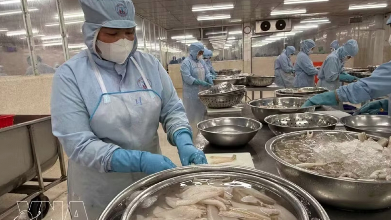 Seafood exporters chase US$12 bln record as year-end demand builds