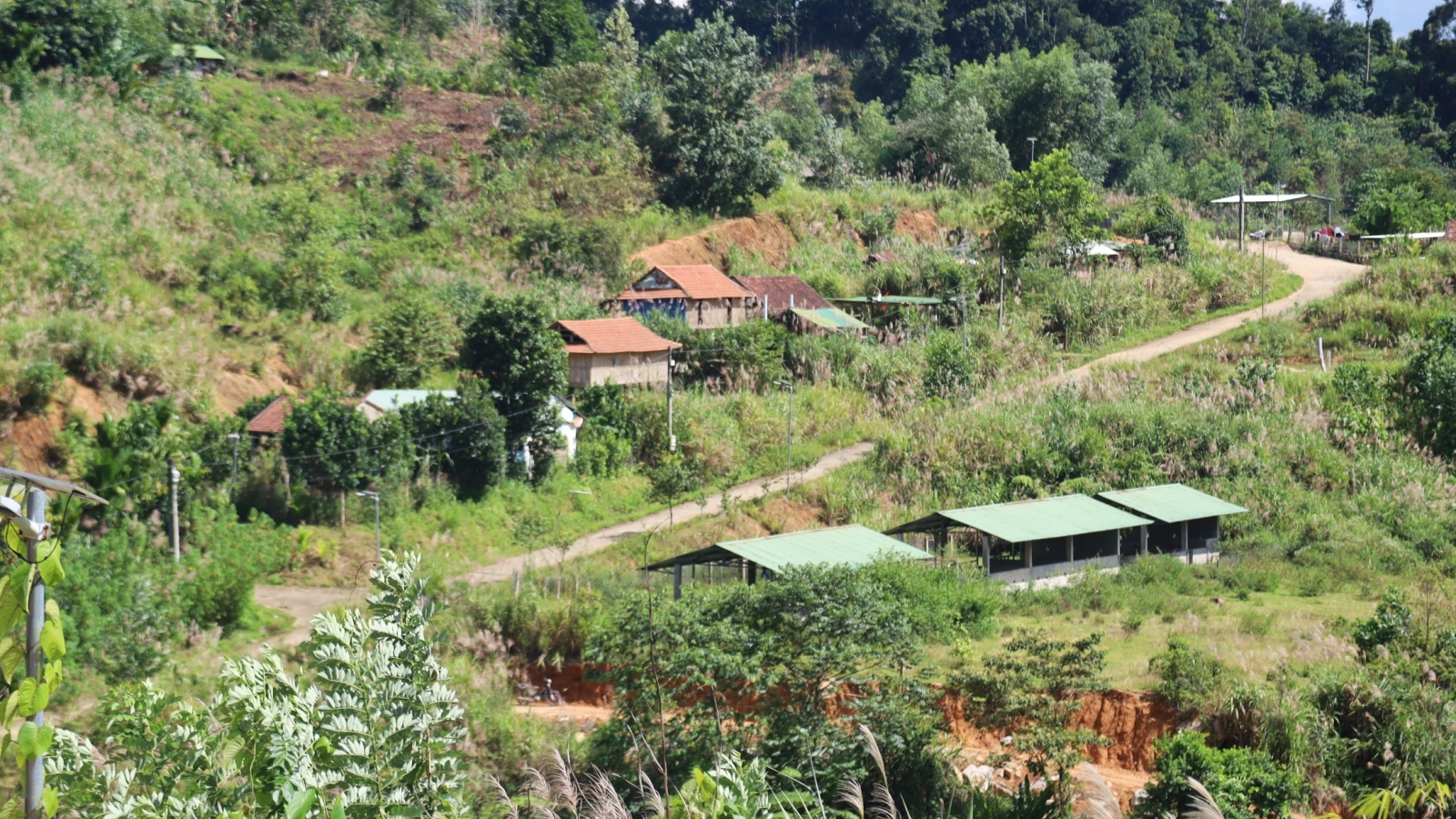 Quảng Ngãi: Hơn 5 năm đến Làng Thanh niên lập nghiệp, người dân vẫn chưa có sổ đỏ