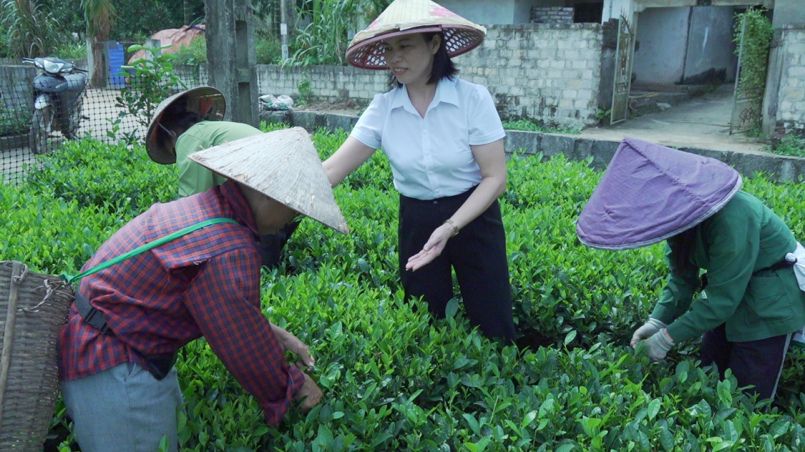 Từ khoản vay 80 triệu đồng đến cơ nghiệp hàng chục tỷ đồng
