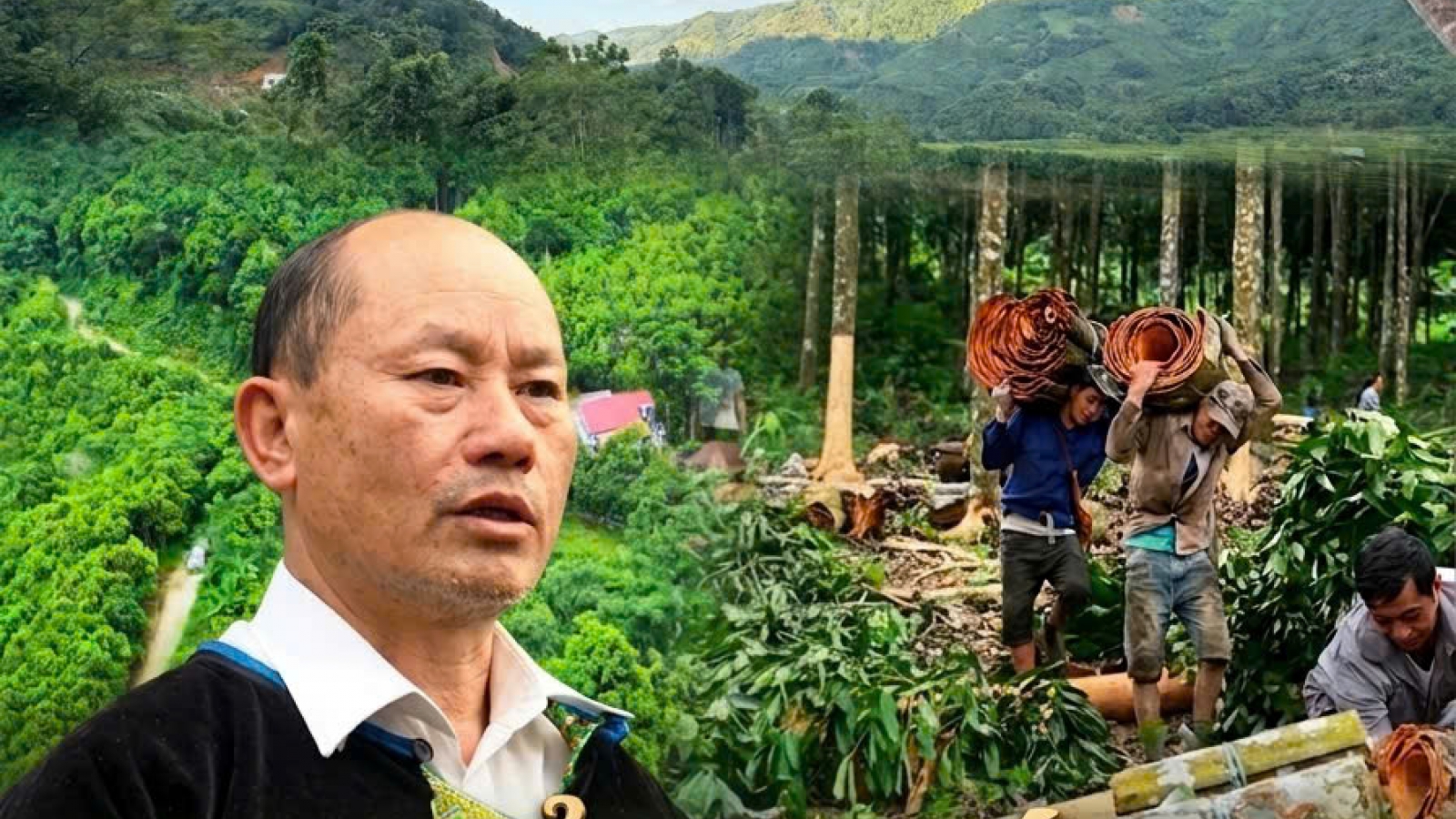 Tỷ phú ở Mỏ Vàng