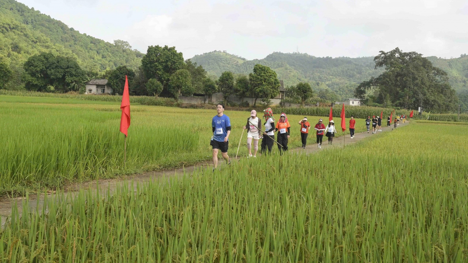 Cung đường chạy “Sắc vàng Cốc San” mở ra xu hướng du lịch mới cho Lào Cai
