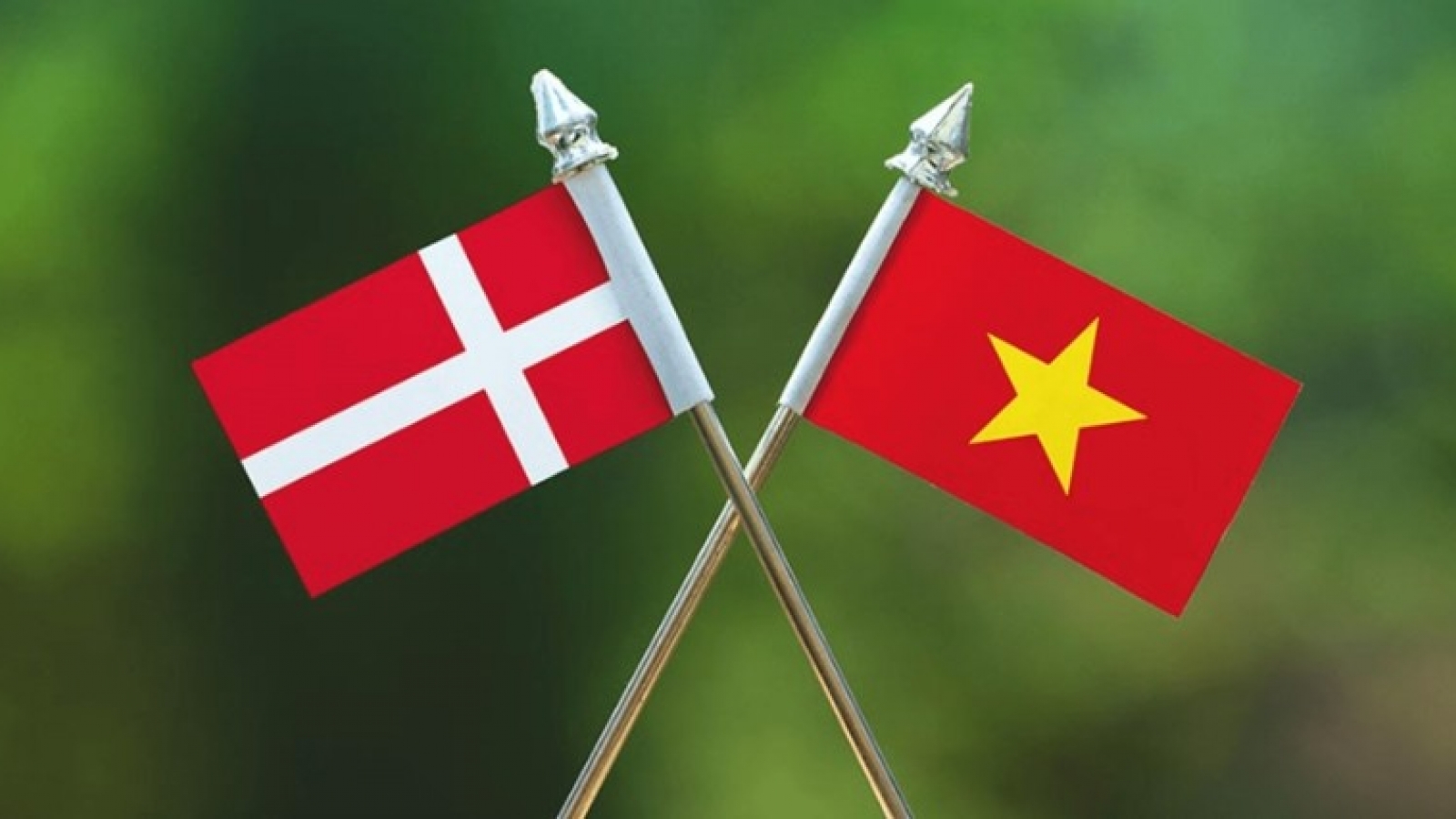 Vietnam-Denmark relations poised for new heights