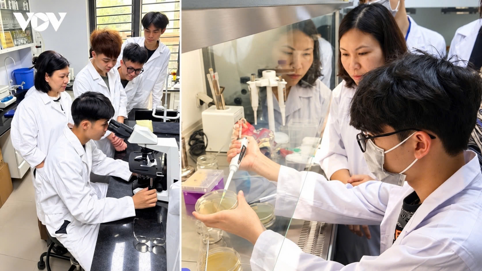 Vietnam looks to global talent to drive its 2045 development ambitions
