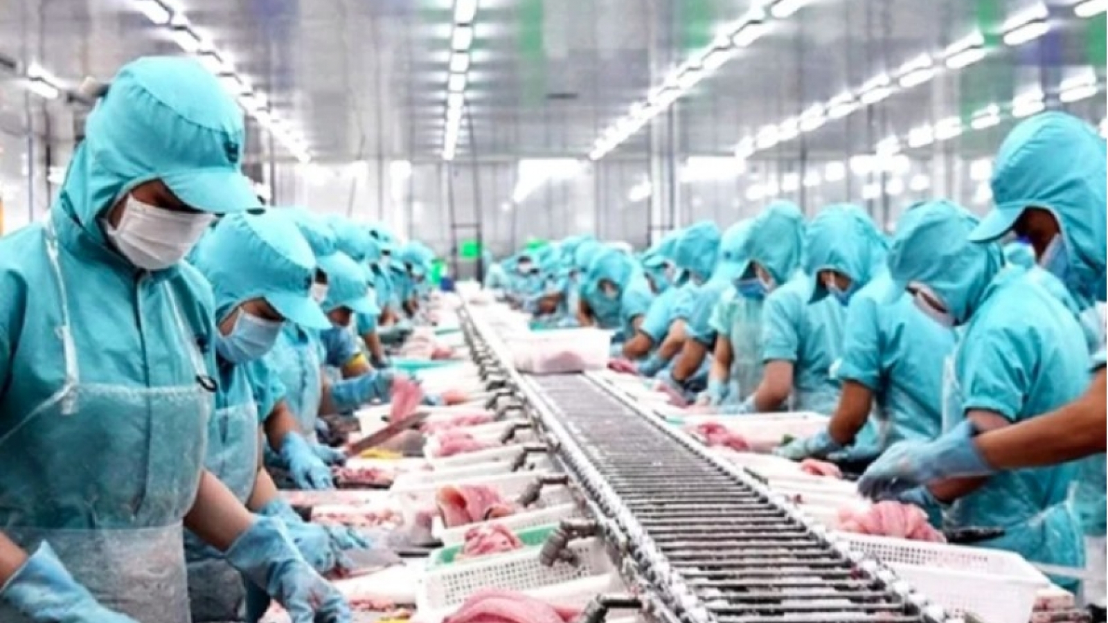 Vietnam-EFTA free trade deal gives boost to bilateral commerce