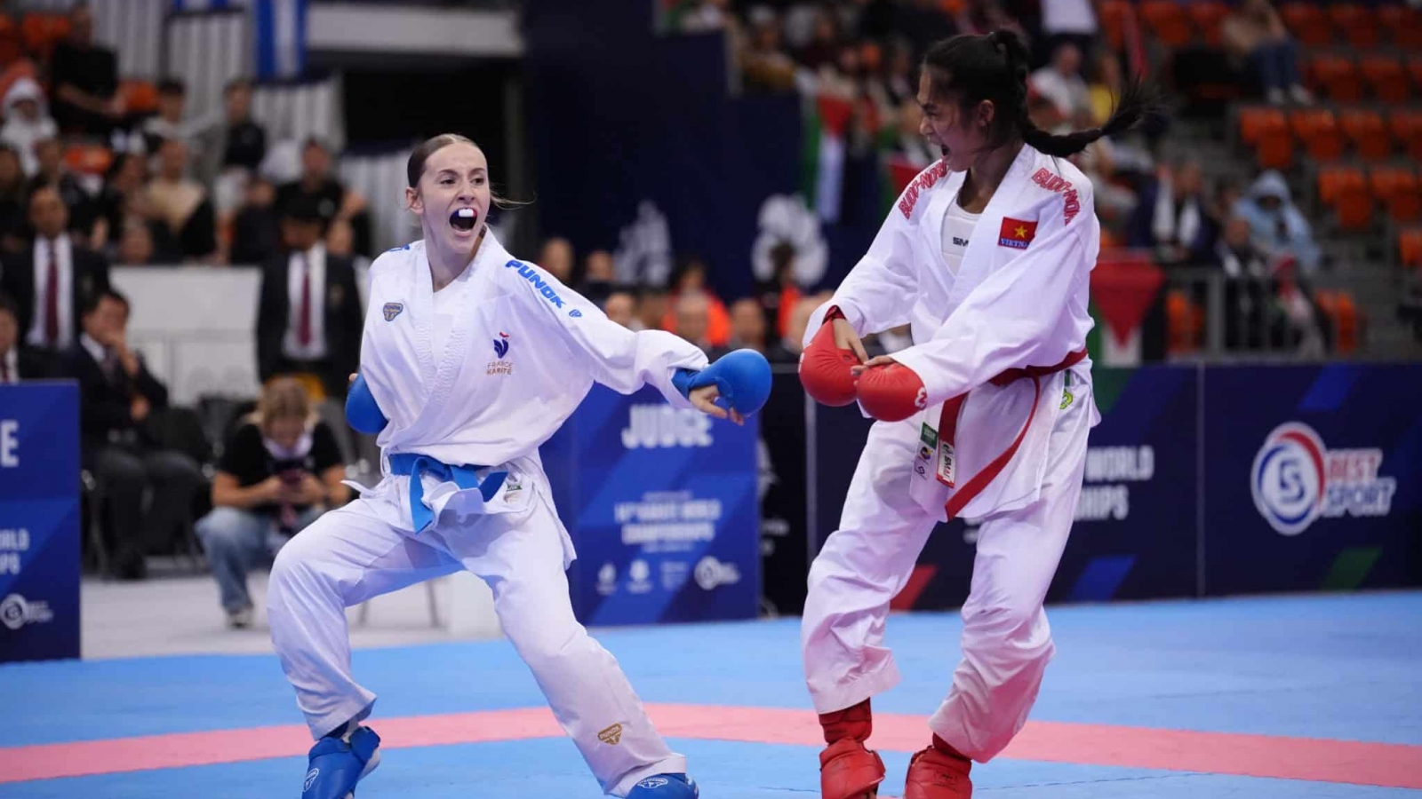 Vietnamese teenager claims silver at world youth karate championships
