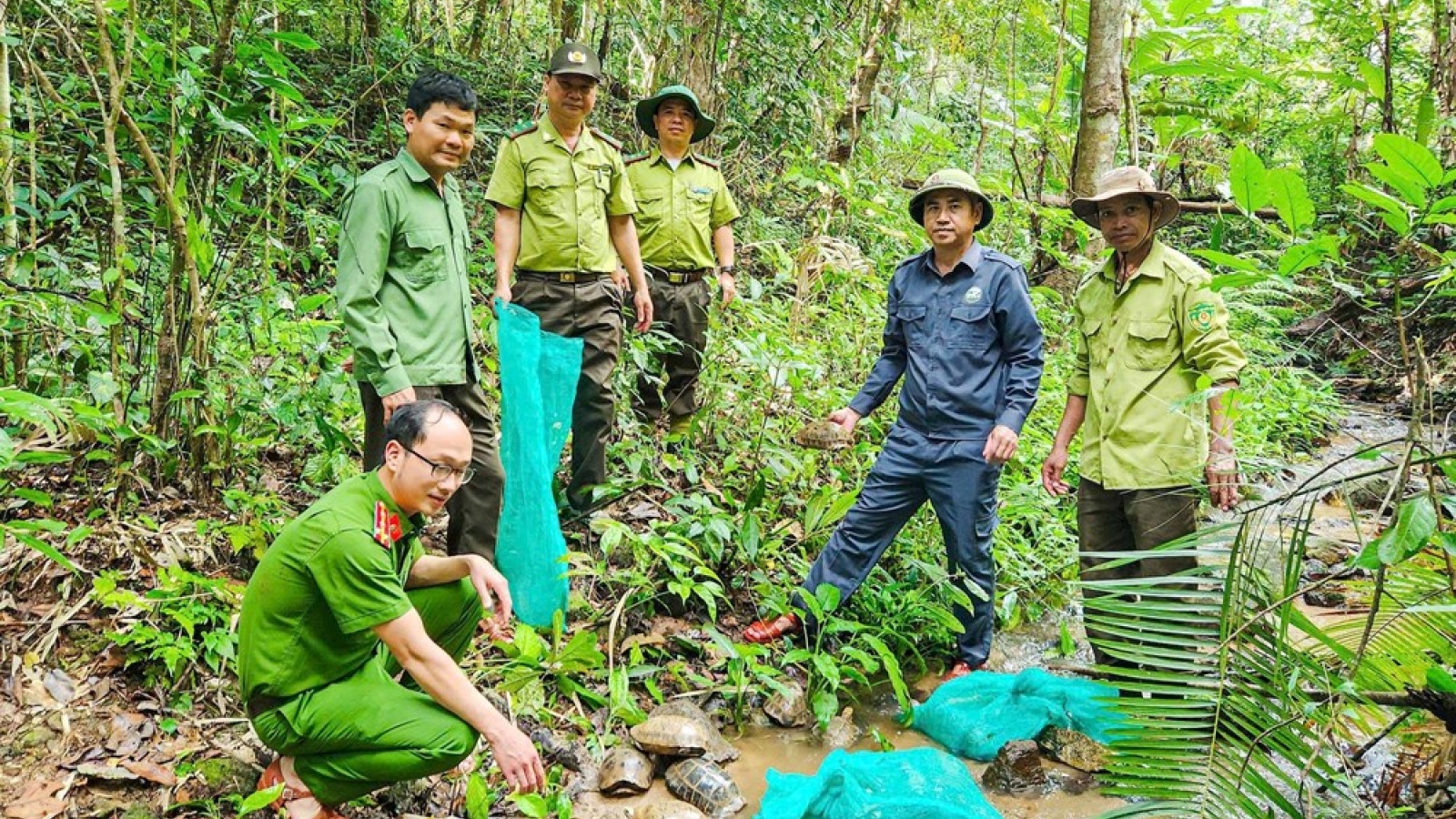 Dozens of rare wild animals released back into the wild in Gia Lai
