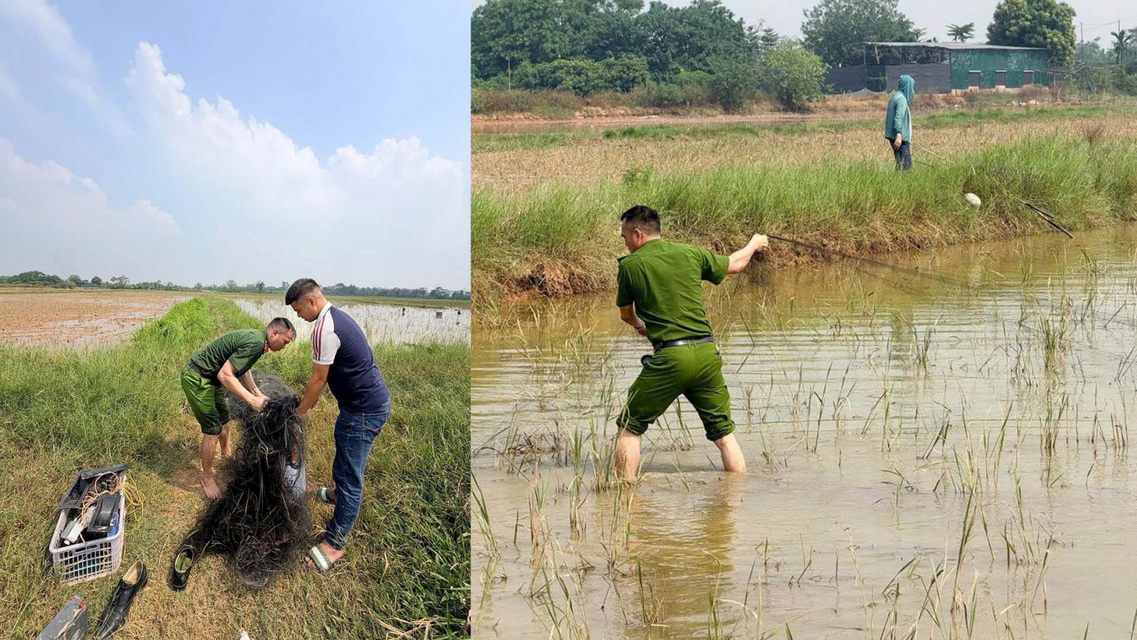 Xác minh đối tượng bẫy chim hoang dã tại xã Kiều Phú, Hà Nội