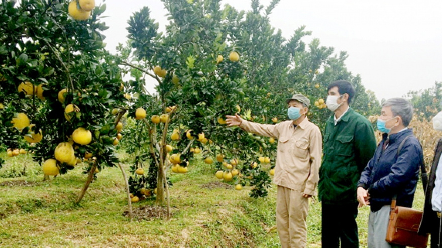 Thanh Hóa: 'Điểm sáng' của cả nước trong thực hiện công tác giảm nghèo bền vững