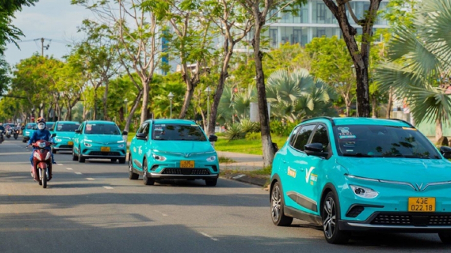 GSM triển khai Chương trình 'Mùa hè Xanh vì Tương lai xanh'