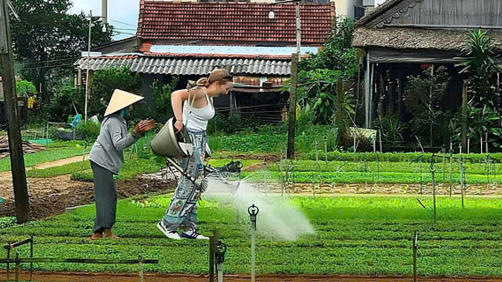 Du lịch sinh thái - hướng phát triển bền vững của đô thị cổ Hội An