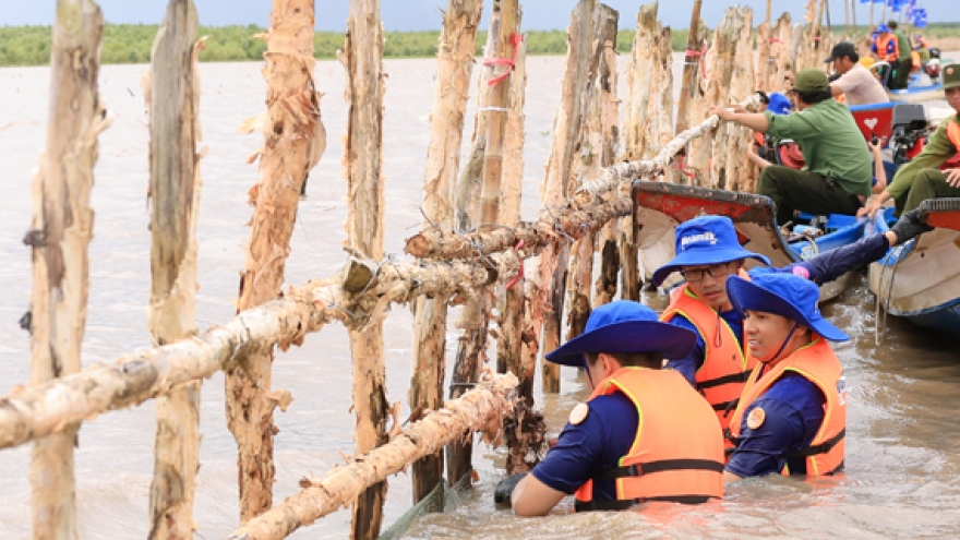 Vì sao Vinamilk liên tục được gọi tên tại nhiều giải thưởng về phát triển bền vững?