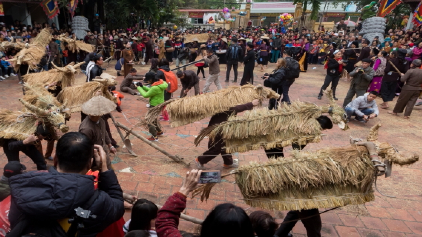 Màn trình diễn thú vị 'Trâu rơm, bò rạ'