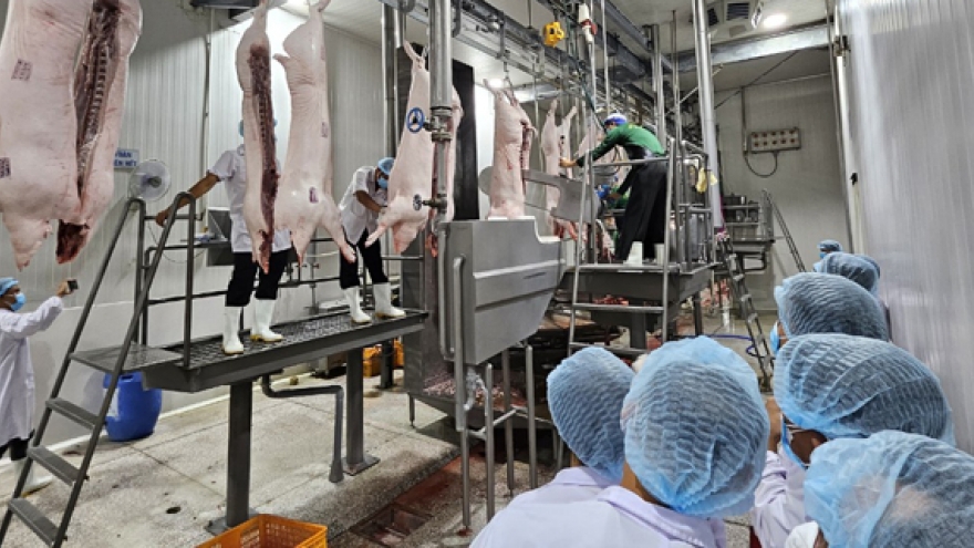 Đà Nẵng học tập kinh nghiệm xây dựng nhà máy giết mổ tập trung của TP.HCM