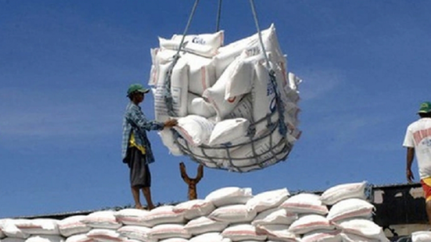 Cơ hội xuất khẩu gạo và những cảnh báo cần thiết cho doanh nghiệp Việt Nam