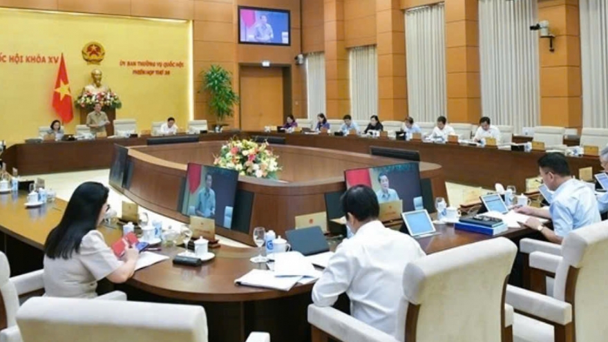 Đề xuất thủ tục đầu tư đặc biệt để thu hút các nhà đầu tư chiến lược