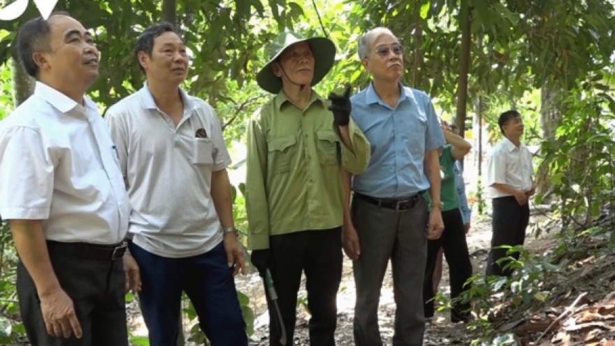 Người cao tuổi Việt Nam - tuổi cao chí càng cao
