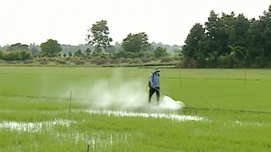 Căn cứ địa Phú Lộc vươn lên từ những hố bom sau giải phóng