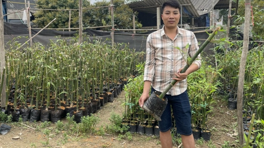 Phát huy vai trò kinh tế tập thể, hợp tác xã trong giảm nghèo đa chiều