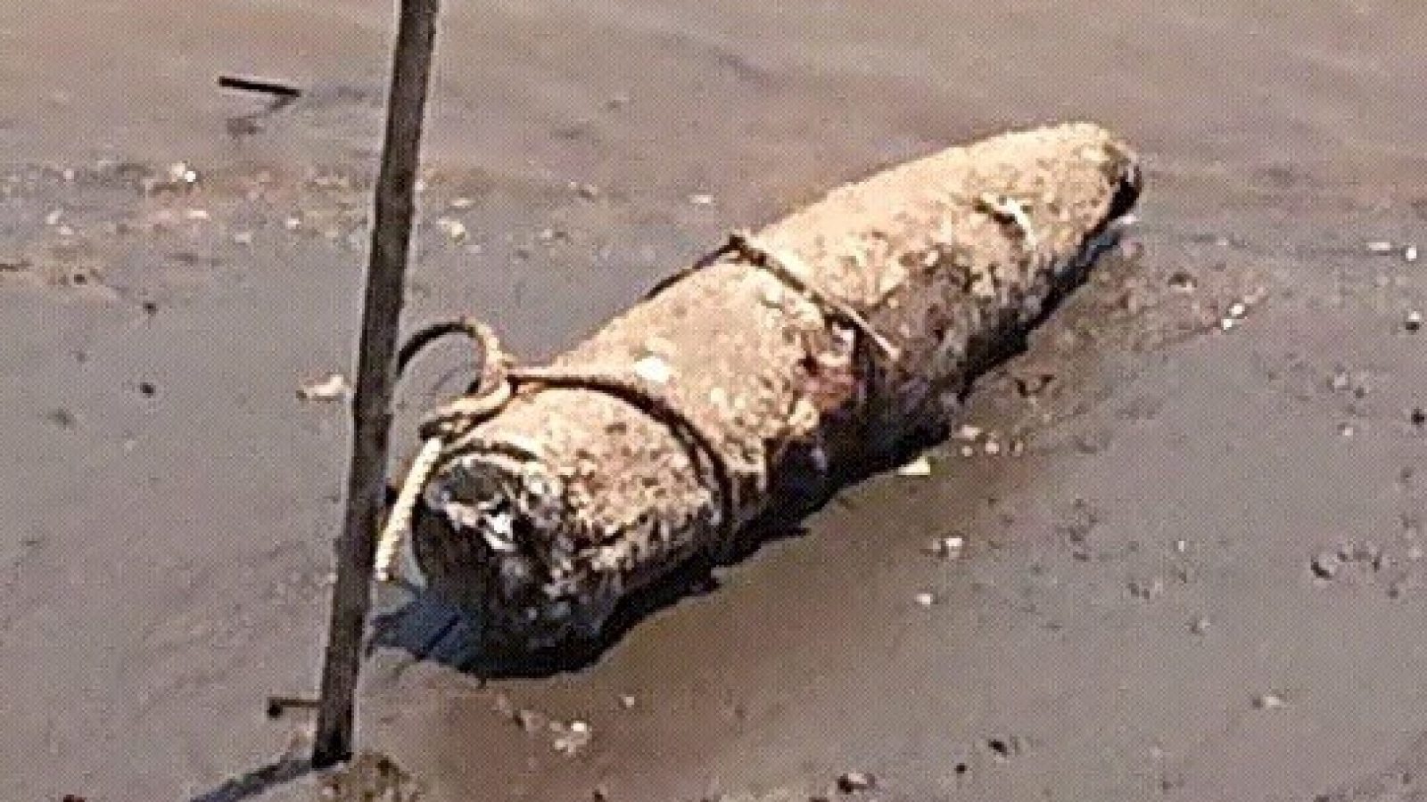 Big bomb found in Thai Binh province