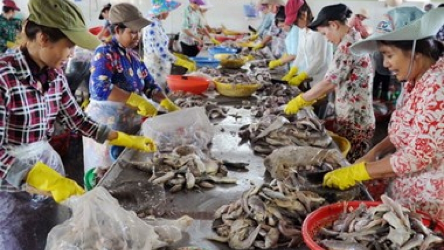 
        Project helps SMEs in Tra Vinh improve environmental knowledge
                              