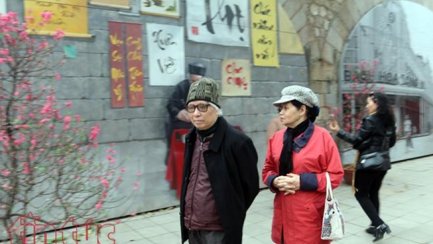 Hanoians welcome New Year 2019