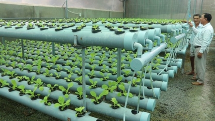 Restructuring helps form agricultural product categories
